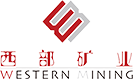 正中集團(tuán)
